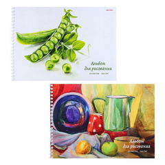 Альбом для рисования Проф-Пресс, формат А4, 20 листов, офсет, на гребне, серия "Изящный натюрморт"