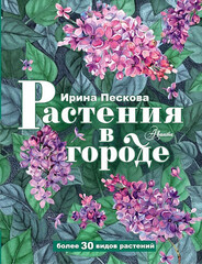 Растения в городе