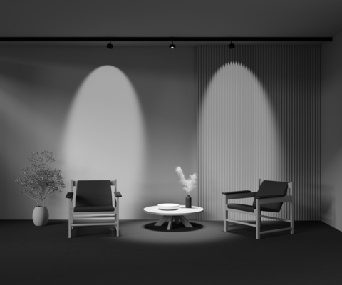 Магнитный трековый светильник Maytoni Exility Lens TR217-4-15WTW-DD-B