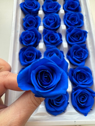 Роза 2-3 см класса 