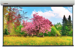 Экран Lumien LMLC-100110A