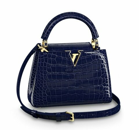 Сумка Louis Vuitton Capucines Mini синий