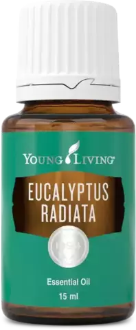 Young Living. Эвкалипт Лучистый (Eucalyptus Radiata) – 15 ml