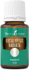 Young Living. Эвкалипт Лучистый (Eucalyptus Radiata) – 15 ml