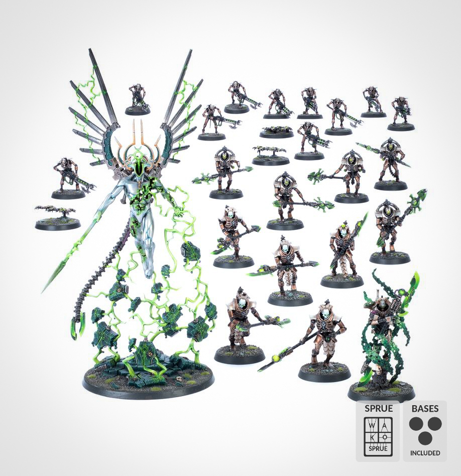 [Wako-box Battleforce] Hypercrypt Legion (Necrons)