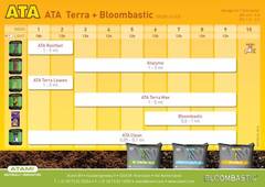 ATA TERRA + BLOOMBASTIC