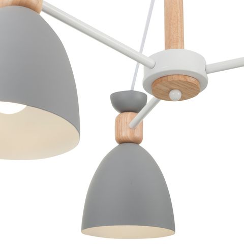 Потолочный светильник Freya Delia FR5033CL-05W