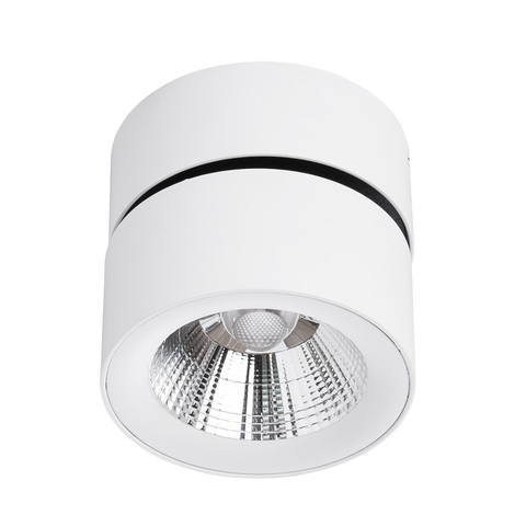 Светильник Divinare Urchin 1295/03 PL-1