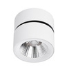 Светильник Divinare Urchin 1295/03 PL-1