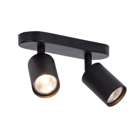 Настенно-потолочный светильник Arte Lamp AQUARIUS A3226PL-2BK