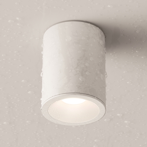 Накладной светильник Maytoni Alfa C029CL-01W