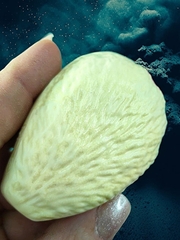 Молд пластиковый+вайнер силиконовый НП-4 лепесток пиона 7х4,8см