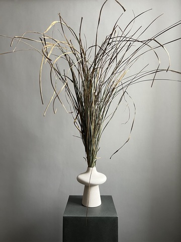 Грасс большой пучок