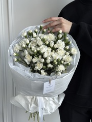 Моно букет из кустовых диантусов в белом оттенке 35 шт