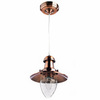 Подвес Arte Lamp Fisherman A5518SP-1RB