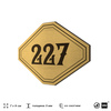 Номерок на дверь квартиры 227, для кабинета, офиса, шильдик 9 х 7 см, золотистый, Айдентика Технолоджи