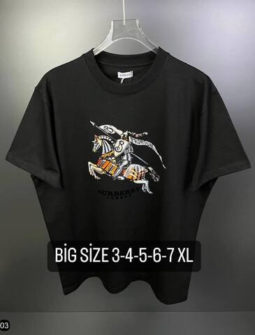Футболка Burberry 224159blBAT