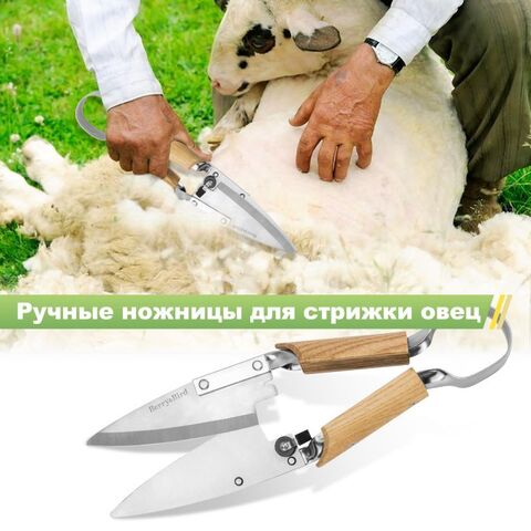Ножницы для стрижки овец, травы и живой изгороди Berry&Bird