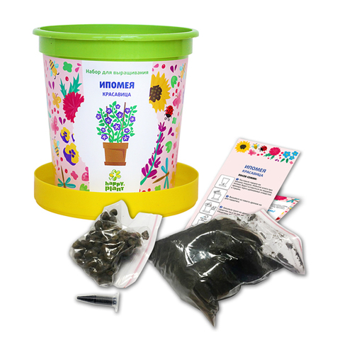 Набор для выращивания в горшочках Happy Plant Ипомея красавица