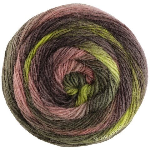 Lana Grossa Meilenweit Color Mix Soft 8063