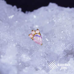 Tiger Paw AB PVD Yellow