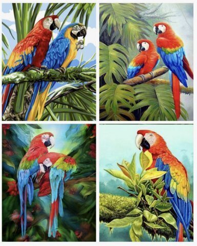 Тетрадь 48 листов Клетка, Тропические Попугаи