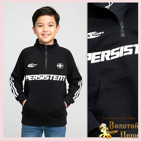 Толстовка трикотаж (9-13) 260123-WQ173