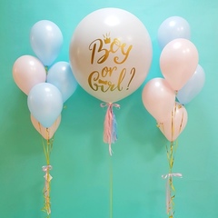 Сет "Мальчик или девочка?"