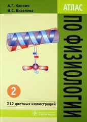 Атлас по физиологии: учебное пособие. в 2 т. Том 2