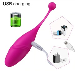 Panties vibration egg HWOK USB-зарядка