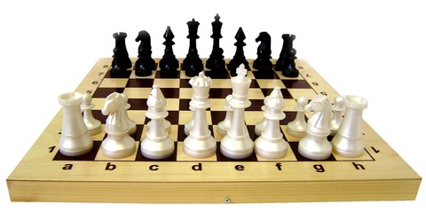 Шахматы гроссмейстерские пластмассовые (d38) в деревянной доске (430*1215*55)