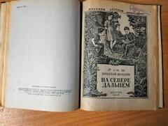 Невиданная птица. Александр Матросов. На Севере дальнем
