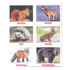 Вундеркинд с пеленок. Лото. Животные