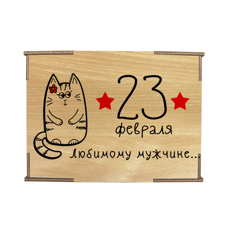 Коробка №4 "23 февраля Любимому мужчине Кошка 2", бук