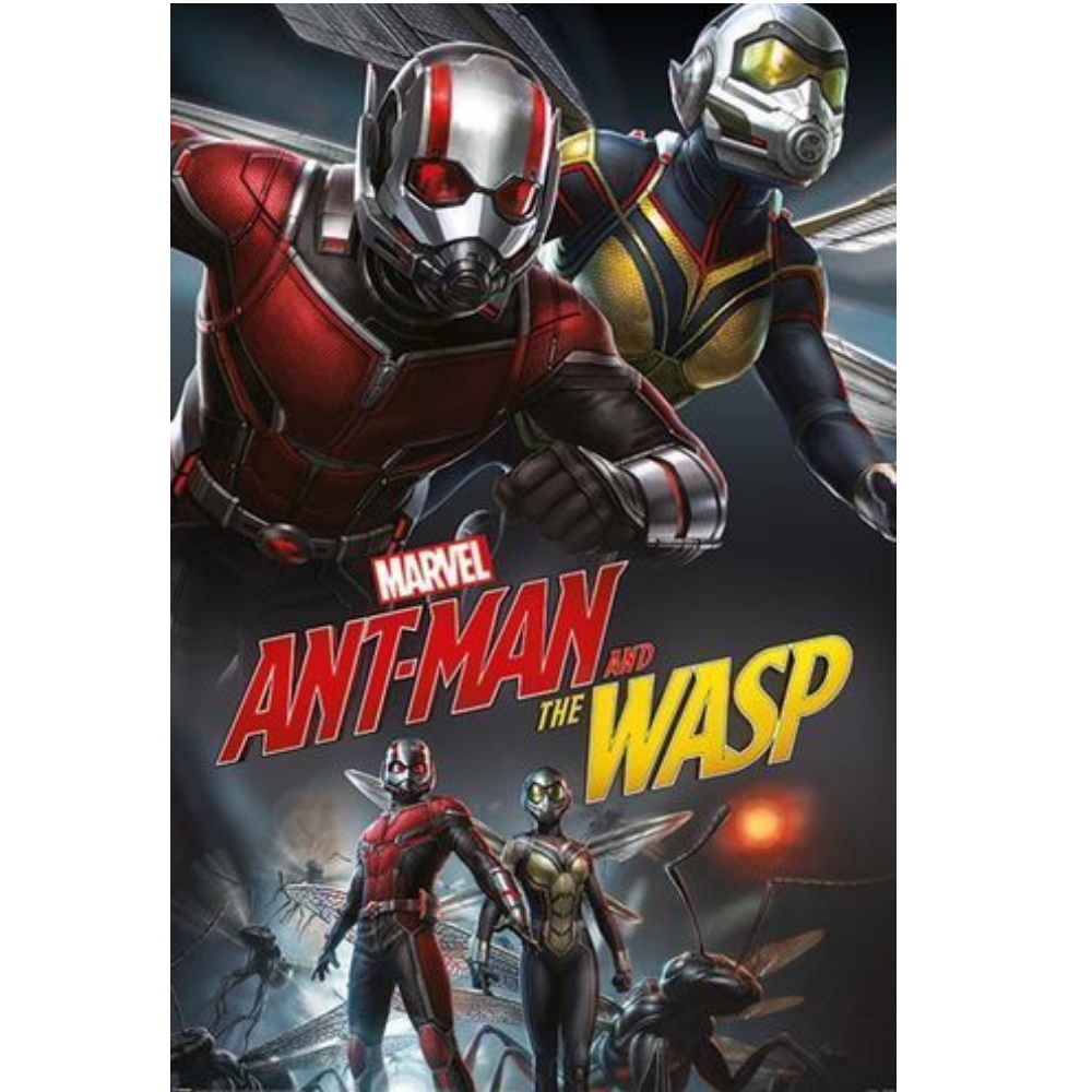 Постер Ant-Man and The Wasp/Человек-муравей и Оса PP34359 – купить по цене  750 ₽ в интернет-магазине ohmygeek.ru