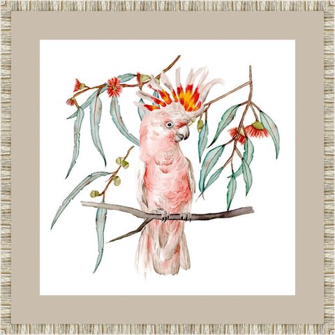 Постер 55х55 G&C Wang Pink Cockatoo