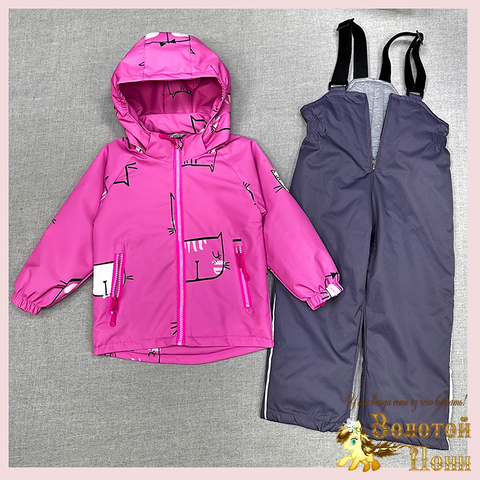 Костюм демисезон девочке (1-5) 260316-Y4063