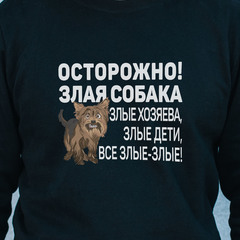 Толстовка "Йорк - все злые"