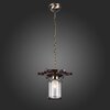 Светильник подвесной ST Luce Volantino SL150.303.01