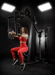 Баттерфляй задние дельты UltraGym UG-CL519. Стек 100 кг