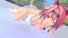Neptunia x SENRAN KAGURA: Ninja Wars (для ПК, цифровой код доступа)