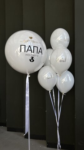 Шары для папы №12