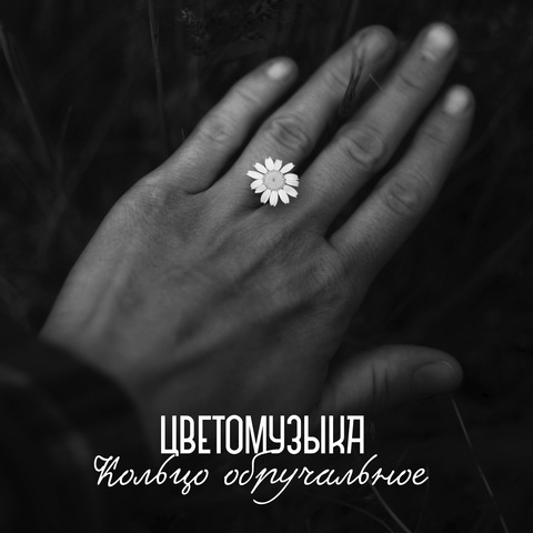 Цветомузыка – Кольцо обручальное (Digital) (2026)
