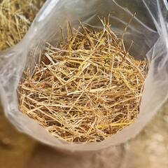 Солома пшеничная золотистая сухая 2 кг