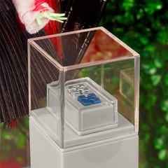 Рейвен Рапсоди Офф-Вайт и Монстер Хай