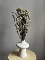 Озотамнус стабилизированный натуральный