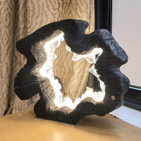 Светильник декоративный Black Ring arango2