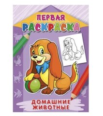 Раскраска А4 