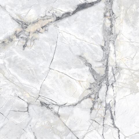 Geotiles Borgia Blanco 60x60