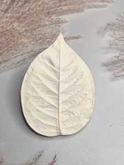 Молд пластиковый 